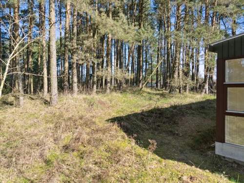 Ferienhaus Felicity - 450m from the sea