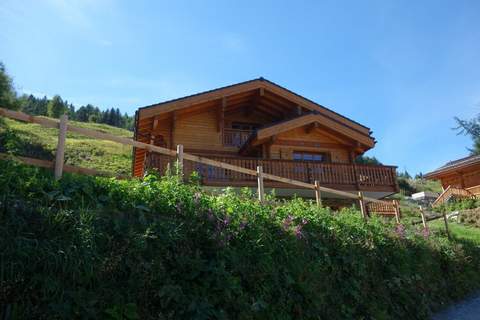 Croix Noires FABULOUS & LUXURY chalet 11 pers - Ferienunterkunft in Les Masses (11 Personen)