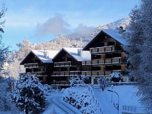 Ferienwohnung Les Mayens de l'Ours - 4 Vallées