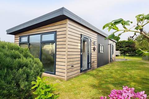 Comfort Chalet - Ferienunterkunft in Hollum (5 Personen)