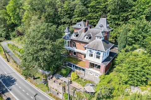 Chateau Constance volledig - Ferienunterkunft in La Roche-en-Ardenne (19 Personen)