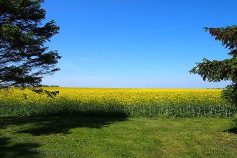Ferienunterkunft in Gingst (4 Personen)