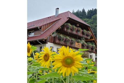 Ferienunterkunft in Oppenau (6 Personen)