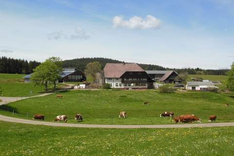 Zuckerbauernhof Weideblick - Ferienunterkunft in Sankt Georgen im Schwarzwald (4 Personen)