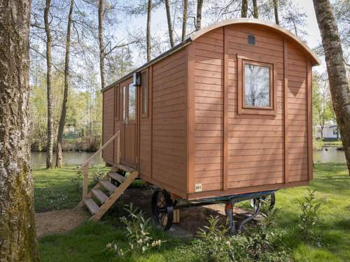 Ferienhaus Camping Papillon Kinrooi - Pipowagen 2 personen