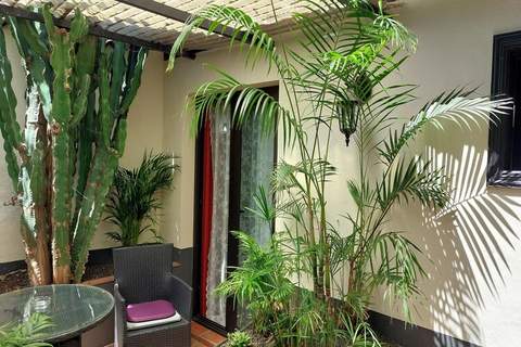 Apartamentos Monasterio de San Antonio 5 - Ferienunterkunft in Icod de los Vinos (1 Person)