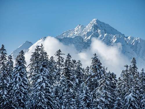 Ferienwohnung Putzprinz Gujan Ferienwohnung, Haus Surmir B / 16, (Flims Waldhaus). 2.5-Zimmer