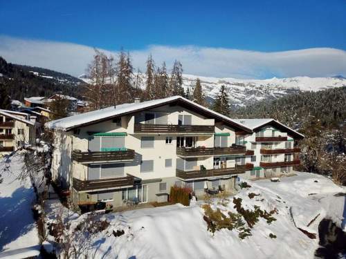 Ferienwohnung Pignia 2 / Greulich, (Laax Dorf). 3 Zimmerwohnung