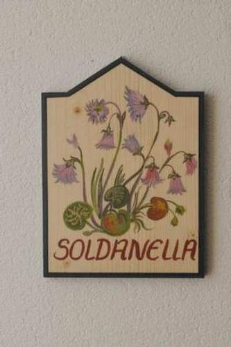 Ferienwohnung Chasa SERAINA, (Samnaun-Dorf).