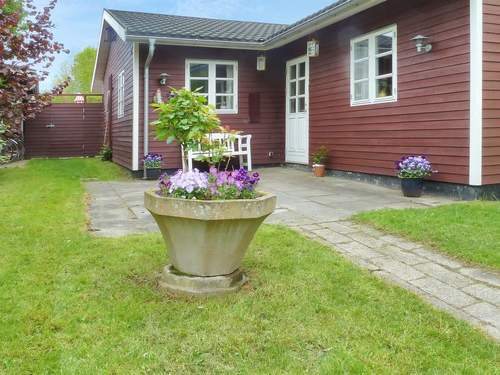 Ferienhaus Amina - 500m from the sea
