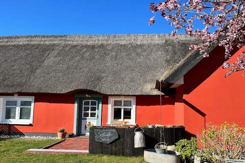 Ferienhaus in Zempin Schusters Kate - Ferienunterkunft in Zempin (2 Personen)