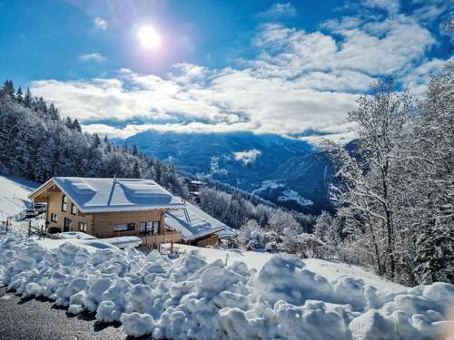 Ferienhaus, Chalet Aennetlauenen