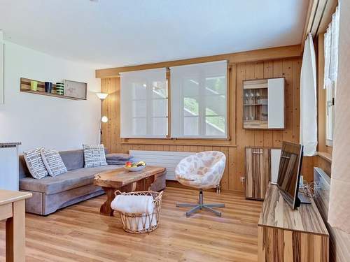 Ferienwohnung, Chalet Steinnägeli