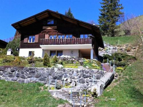 Ferienwohnung HasliRent, Dornen, (Hasliberg Goldern). 5.5 Zimmer Wohnung auf zwei Etagen in e