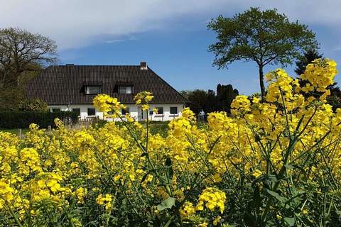 Ferienunterkunft in Kappeln (4 Personen)