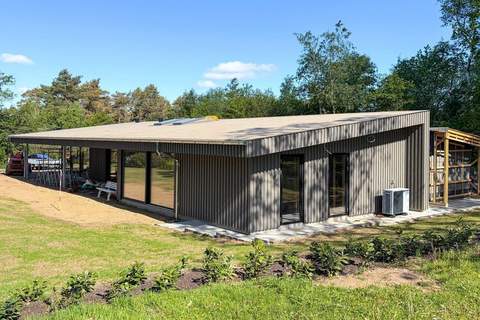 Ferienunterkunft in Fårvang (14 Personen)