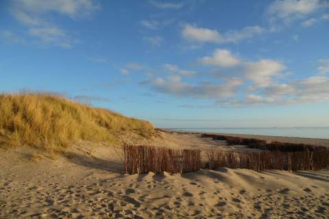 Ferienunterkunft in Oldsum/Föhr (2 Personen)