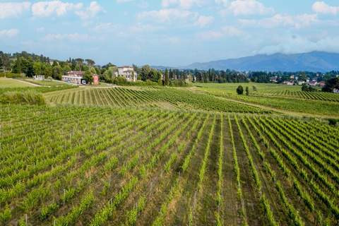 Maria Farmhouse Apartment in Wine Resort in Lucca - Ferienunterkunft in Monte San Quirico (4 Personen)