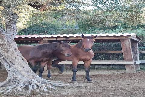 Sogno di Giove Casa Venere - Ferienunterkunft in Siracusa (6 Personen)