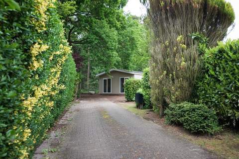 Vakantie home Coevorderweg - Ferienunterkunft in Stegeren (4 Personen)