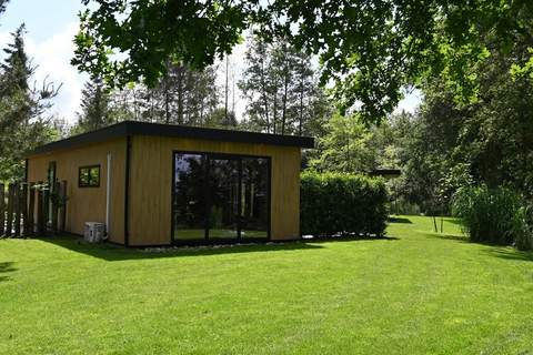 Wellnesslodge Scholekster 4p - Ferienunterkunft in Dalerveen (4 Personen)