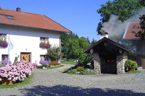 Ferienunterkunft in Waldkirchen (4 Personen)