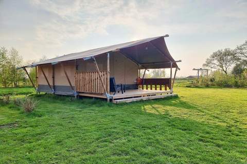 Luxe glamping met badkamer 1 - Ferienunterkunft in De Veenhoop (4 Personen)