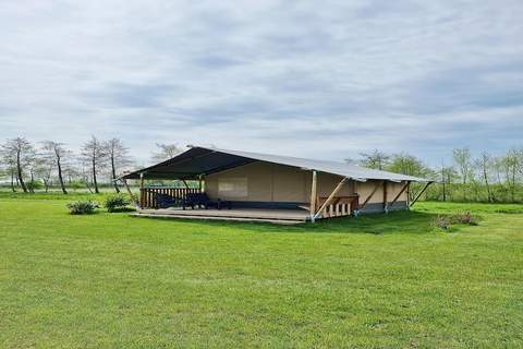 Luxe glamping met badkamer 3 - Ferienunterkunft in De Veenhoop (4 Personen)