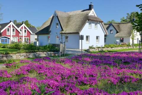 Ferienunterkunft in Glowe (6 Personen)