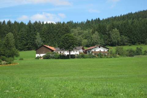 Ferienunterkunft in Drachselsried (3 Personen)
