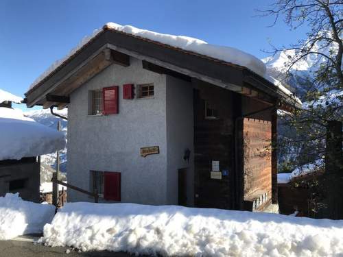 Ferienwohnung 3 1/2 Zimmerwohnung, 4-Betten