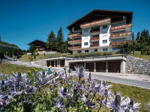 Ferienwohnung Appartement/Fewo, Dusche oder Bad, WC, 8-Bettwohnu