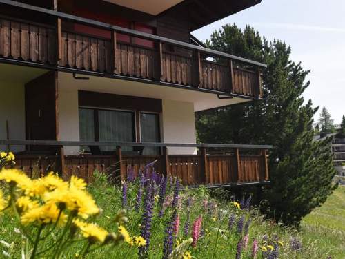 Ferienwohnung 4-Bettwohnung
