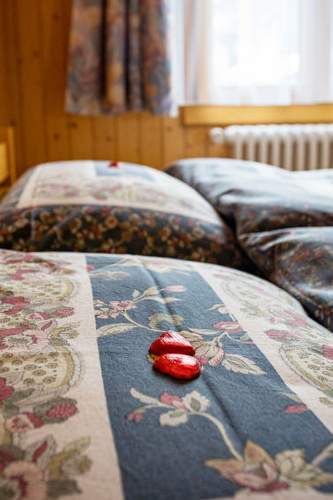 Ferienwohnung Bergtreu, (Grächen),