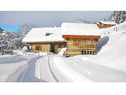 Ferienhaus Chalet Petit Châtel