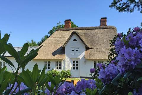 Countryhouse Humptrup - Ferienunterkunft in Humptrup (4 Personen)
