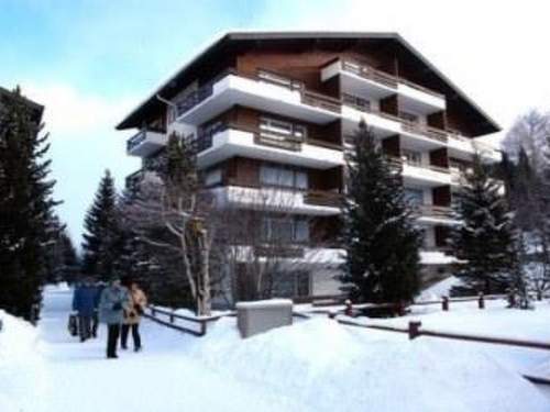 Ferienwohnung Sarazena Appartement/Fewo 4-Bettwohnung U