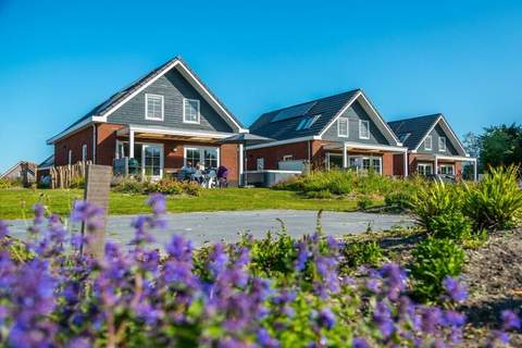 Ferienunterkunft in Medemblik (6 Personen)