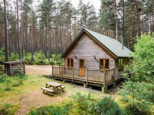 Ferienwohnung, Chalet Capercaillie Cabin