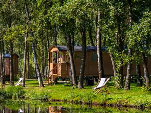 Ferienhaus Camping Papillon Kinrooi - Pipowagen 4 p. terras