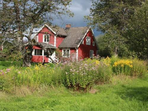 Ferienhaus Schönes Ferienhaus in Småland mit Sauna, Bootssteg zum Schwimmen mit Ruderboot