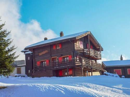 Ferienwohnung Chalet Alphütte Appartement/Fewo, Dusche, WC 4-Bettwohnung Erdgeschoss