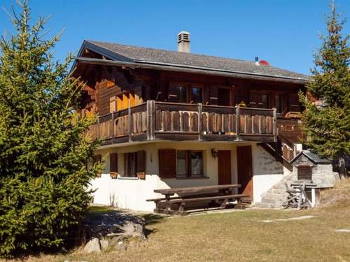 Ferienwohnung Chalet Fridi 4-Bettwohnung, Dusche, WC 4-Bettwohnung Erdgeschoss