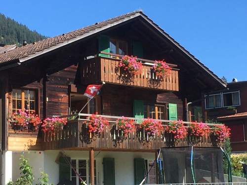Ferienwohnung Hari Appartement/Fewo, Dusche, WC, 1 Schlafraum 1.5 Zimmerwohnung
