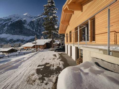 Ferienwohnung Chalet Bärgfride Appartement/Fewo, Dusche, WC, 1 Schlafraum 3-Zimmerwohnung