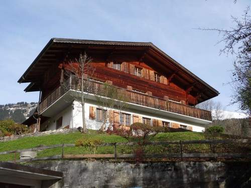 Ferienwohnung Steirösli 1. & 2. Stock Appartement/Fewo, Dusche und Badewanne, 4 oder mehr Schl