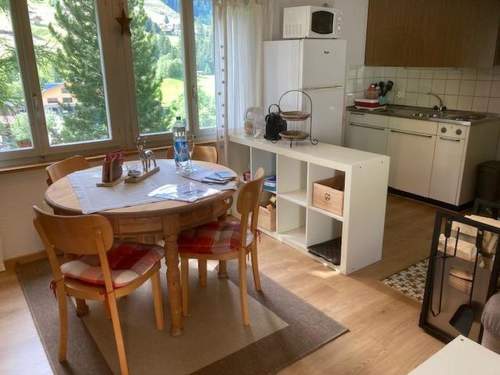 Ferienwohnung Chalet Louise Appartement/Fewo, Dusche, WC, 1 Schlafraum 2-Zimmerwohnung