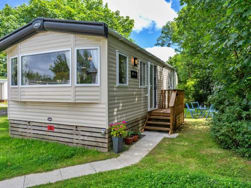 Ferienhaus Stargazey