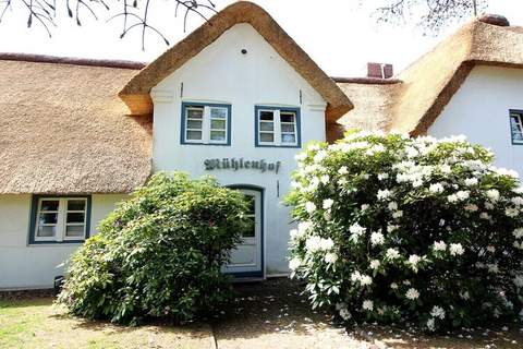 Ferienunterkunft in Westerland/Sylt (3 Personen)