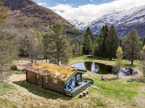 Ferienhaus Fjellro